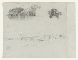 Sketches of Trees, Vines and a Bank of the Rio Magdalena, Colombia