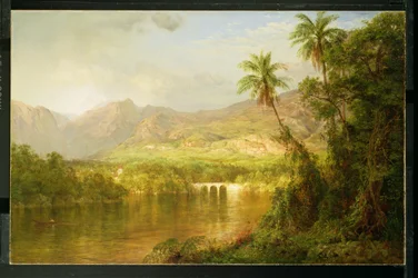 South American Landscape