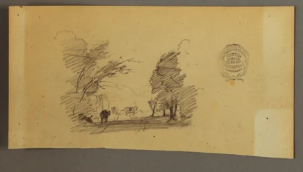 Three Cows on a Road in the Woods