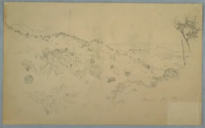 Wooded Vale with a Large Fern and Distant Mountain Ranges, Jamaica