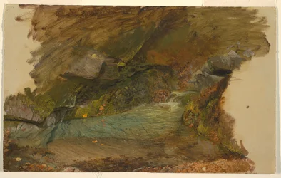 Woodland Stream