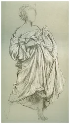 Study of Daphnephoria