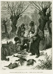 Catch ducks in the net. Engraving to illustrate the story A Through Alsace and Lorraine, in 1887, by Charles Grad, in the tour du monde 1888, directed by Edouard Charton, Hachette, Paris.