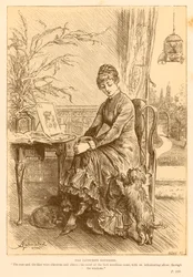 The Favourite Daughter