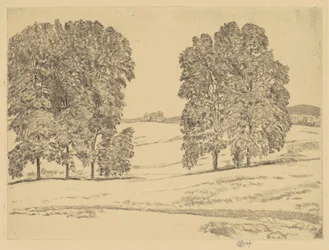 Hickories in a Hayfield, 1917