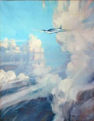 Flight