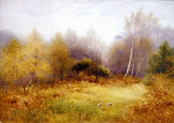 Rabbits in a Forest Clearing
