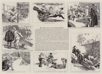 Mr Pease Greene and the Celestial Ducklings