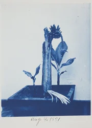 Untitled, August 4