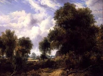 Wooded landscape