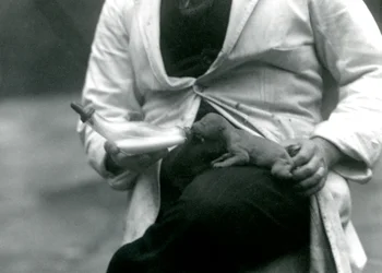 A newborn Lion cub being bottle-fed by its keeper, London Zoo, 1923
