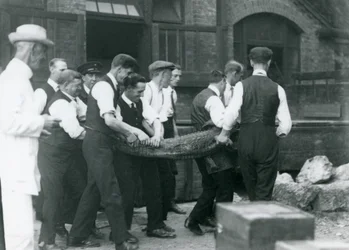 A team of men carrying an Alligator watched over by Sir Peter Chalmers Mitchell, London Zoo, 1924