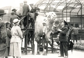 Camel Riding with Keeper H. Warwick