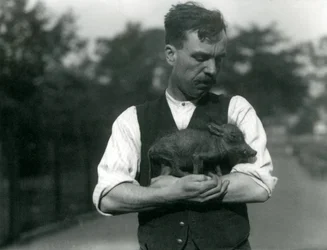 Keeper Harry Warwick Cradles a Baby Warthog in His Arms at London Zoo