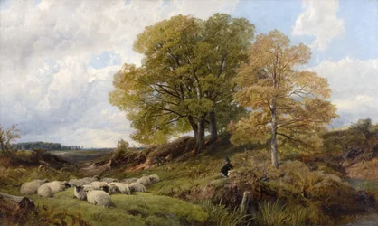 Woodland Scene