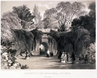 Zoological Gardens, Regent