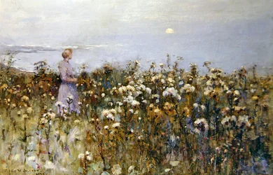 Summer Sun