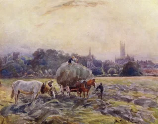 Hayfield, Warwick