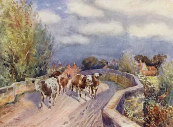 Marton Bridge
