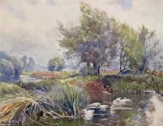 The Avon, below Stratford-on-Avon