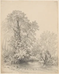 Trees by the River at Castle Bromwich