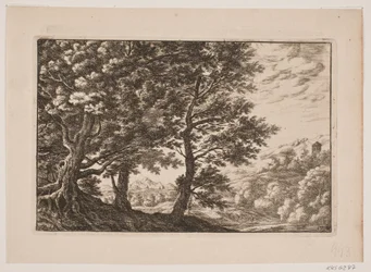 Mountainous Landscape with Large Trees