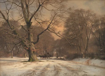Winter Landscape. Scene from Jægersborg Deer Park