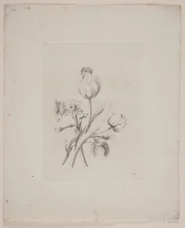 Flower Motif
