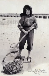 Arcachon Basin: An Oyster Parcering Machine