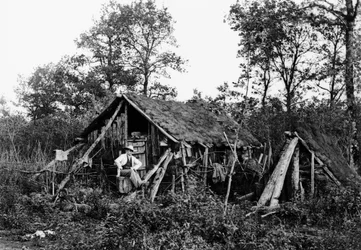 Logging Cabin