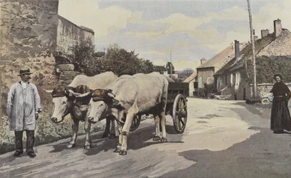 Saulieu, A Carriage in the Morvan
