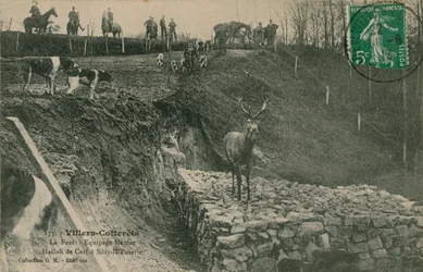 Villers-Cotterets. La Foret - Equipage Menier Hallali de Cerf a Silly-la-Poterie