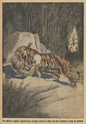 A British officer, carried off by a tiger, finds the strength to kill the animal with his pistol
