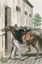 A Dragoon grooming his horse, plate 257 from a series of French Imperial soldiers