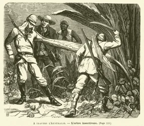 Across Australia (engraving)