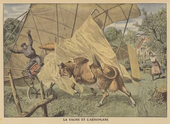 A cow attacking an aeroplane in the American Midwest
