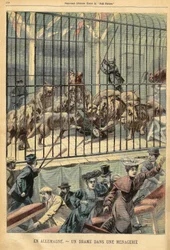 A tamer gets devoured by her lions in a menagerie in Dessau, Germany. Engraving in 