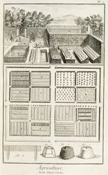 A vegetable garden, from The Encyclopedia of Science, Art and Engineering by Denis Diderot