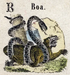 Abecedary. Letter B like Boa. Small Encyclopedic Alphabet, Popular Series. Epinal Imaging, late 19th century