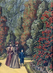 Acclimation Garden - the Camellia Greenhouse - Camellia greenhouse in a botanical garden