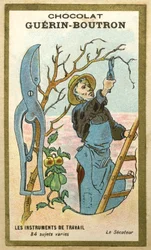 Advertising chromolithography of Guerin Boutron chocolates, work instruments, 84 varied subjects, pruning shears