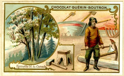 Advertising Chromolithography of Guérin Boutron Chocolates