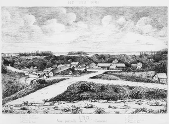 Album of the Isle of Pines, Uro, 1878-79