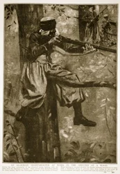An Algerian Sharpshooter at work in the shelter of a wood