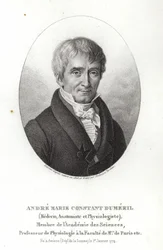 André Marie Constant Duméril