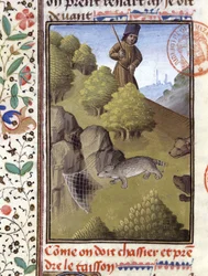Badger Hunt - in Hunting Book of Gaston Phoebus, Count of Foix, Lord of Béarn