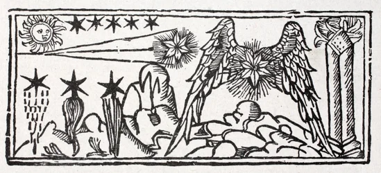 Bearded Stars, a Shooting Star, Tail of a Comet, a Long-Haired Star, a Pinned Down Star