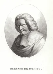 Bernard de Jussieu