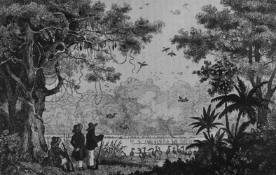 Bird Hunting, from 