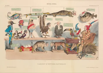 Cabinet of Natural History, from La Caricature